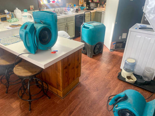 Best Water damage restoration near me  in Greenvle, IL