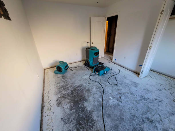 Best Fire Damage Restoration  in Greenvle, IL