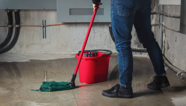 Professional Water damage restoration in Greenville, IL
