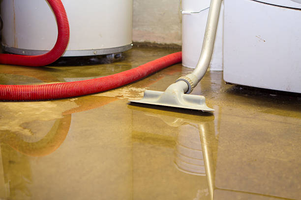 Best Commercial water damage restoration  in Greenvle, IL