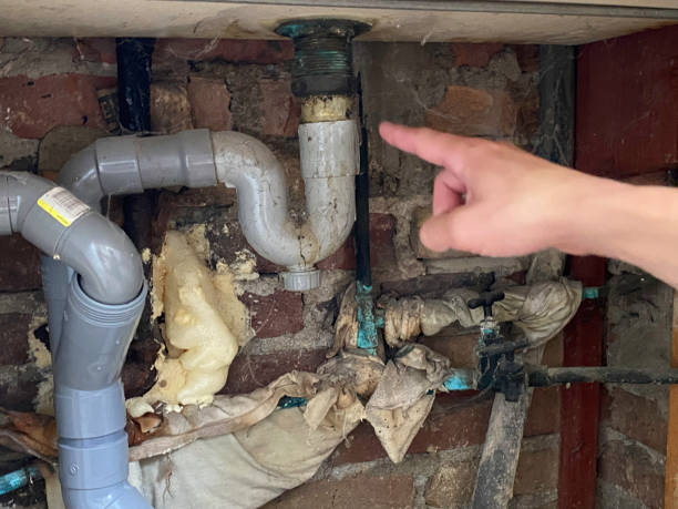 Best Basement water damage restoration  in Greenvle, IL