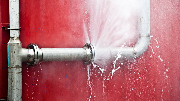 Best Flooded house restoration  in Greenvle, IL