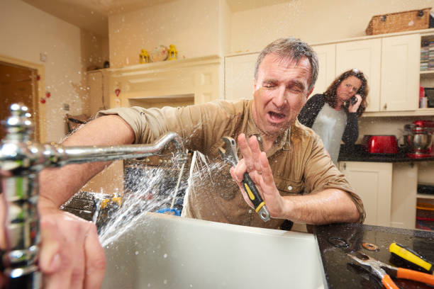 Best Carpet water damage restoration  in Greenvle, IL